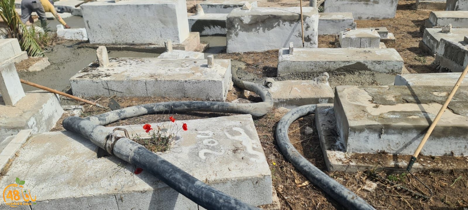 WhatsApp Image 2023-06-03 at 10.12.38 AM.jpeg